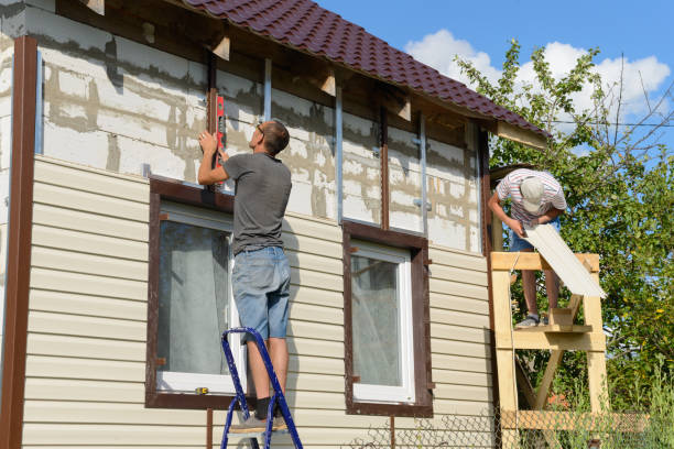 Best Fascia and Soffit Installation  in Toledo, IA