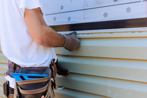 Best Custom Siding Design  in Toledo, IA
